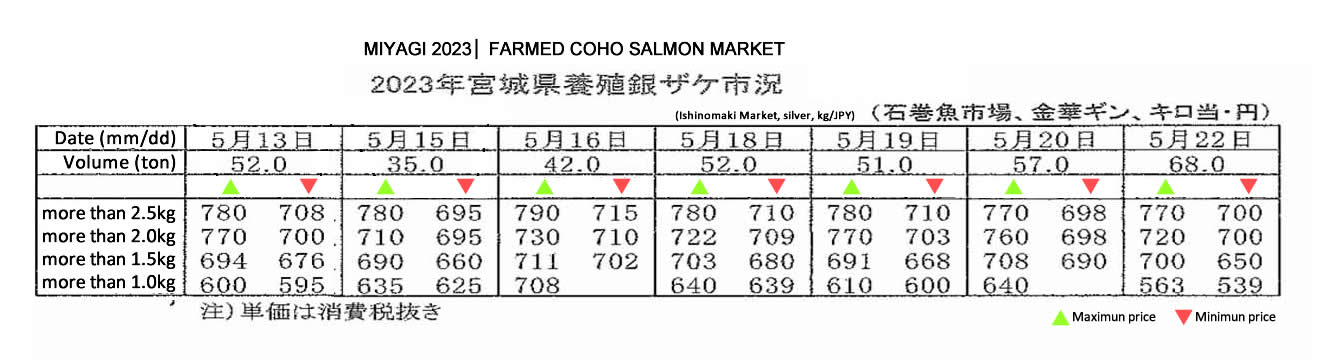 ing-Miyagi-Mercado de silver salmon cultivado FIS seafood_media.jpg